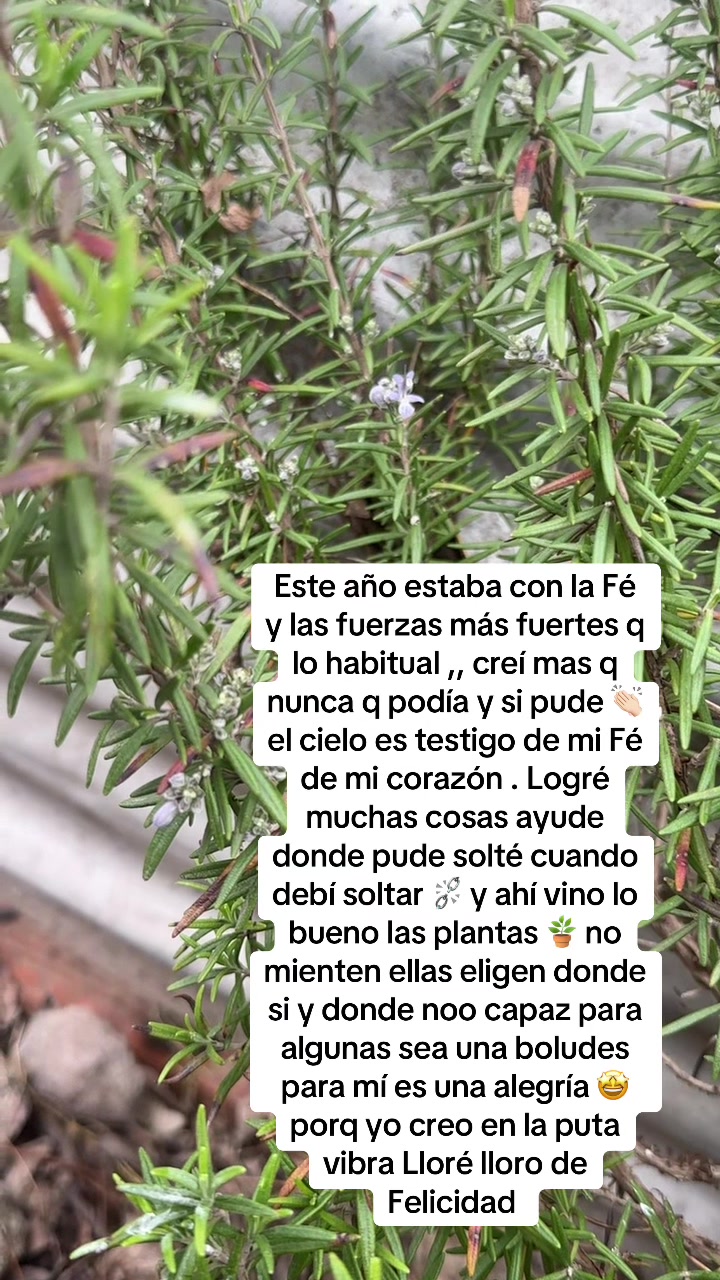@⚖️✨Mariela Ortiz✨✈️🏖️🐾