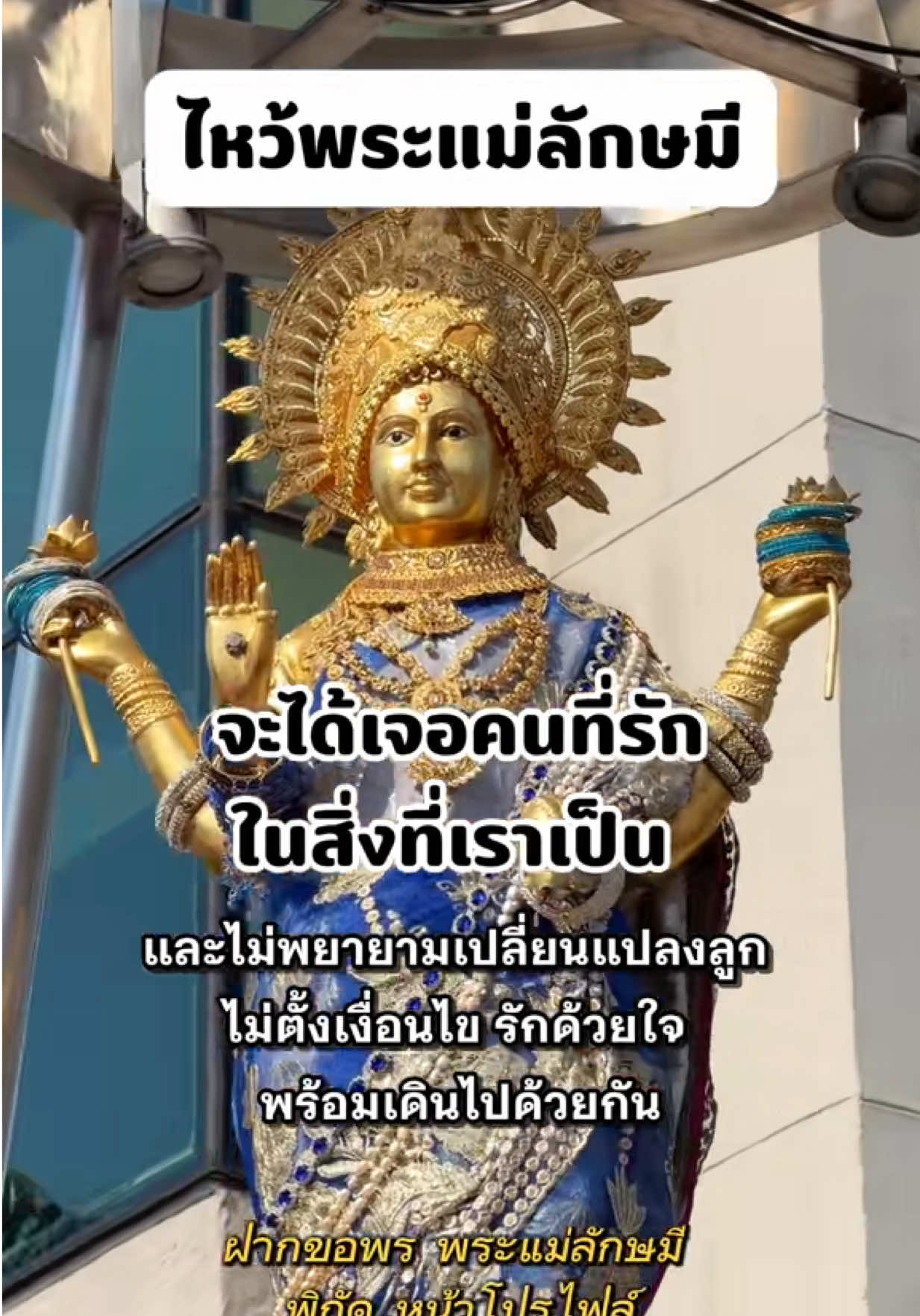 @มามู ออนไลน์ - ฝากไหว้ขอพร