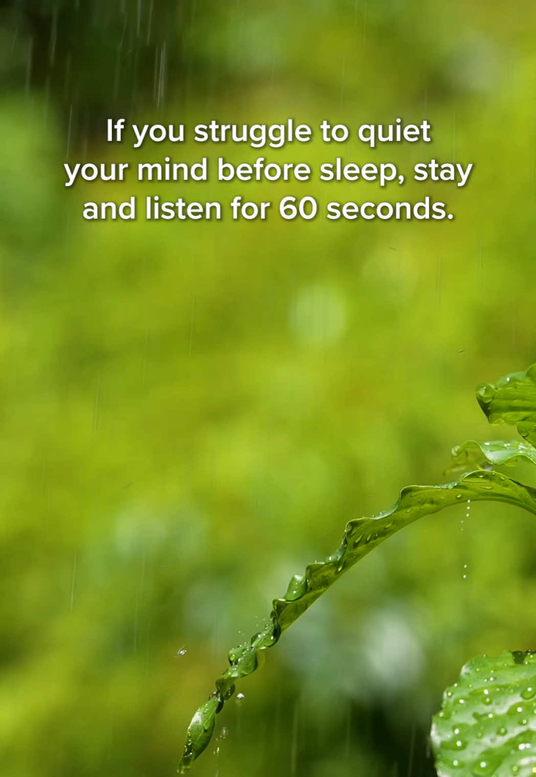@Calm
