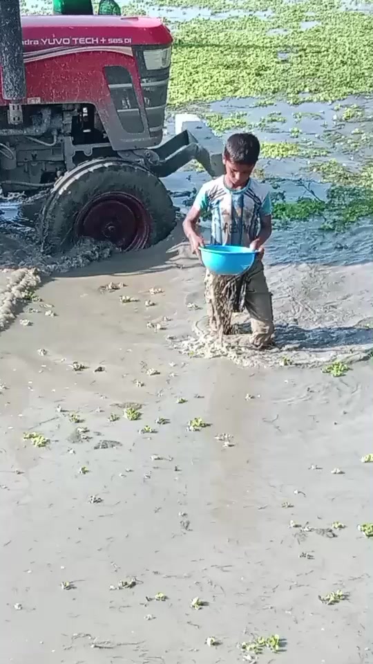 @md mainuddin11