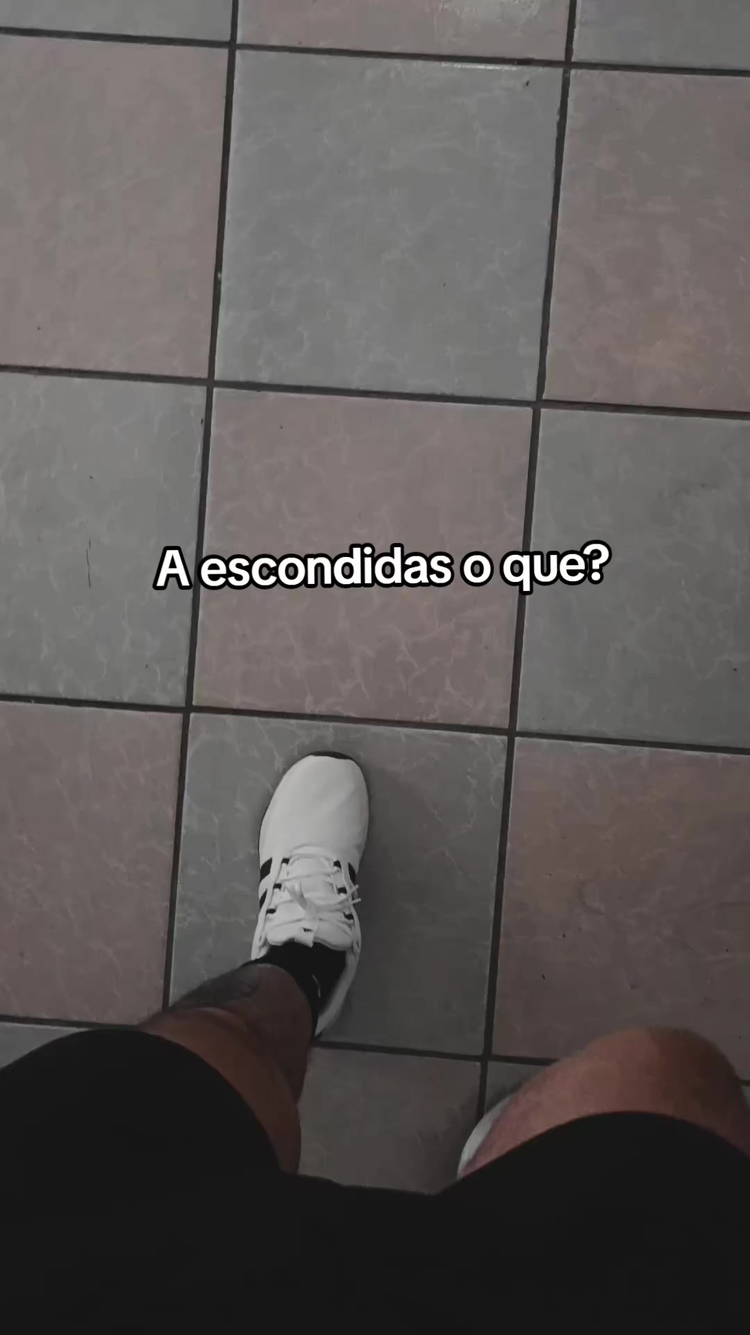 @Tavozdk