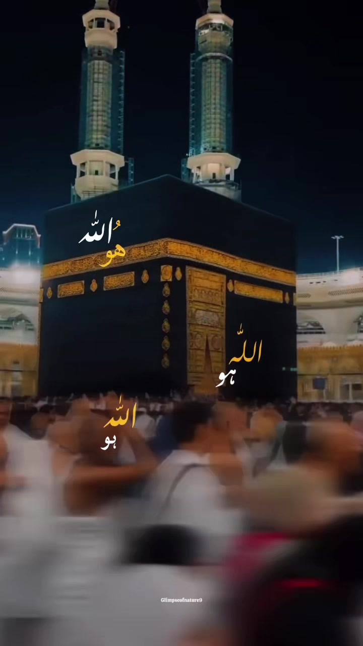 @Amna Mir❥