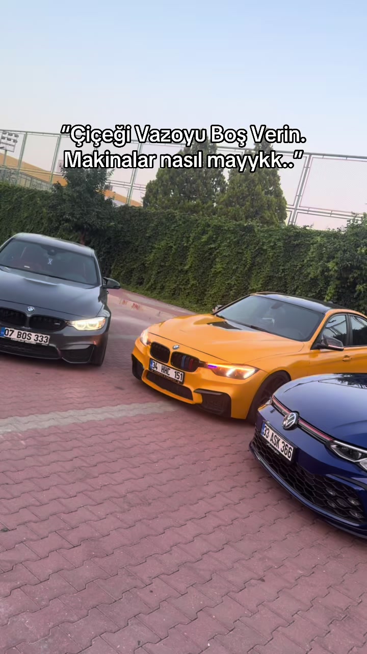 @Ferhat