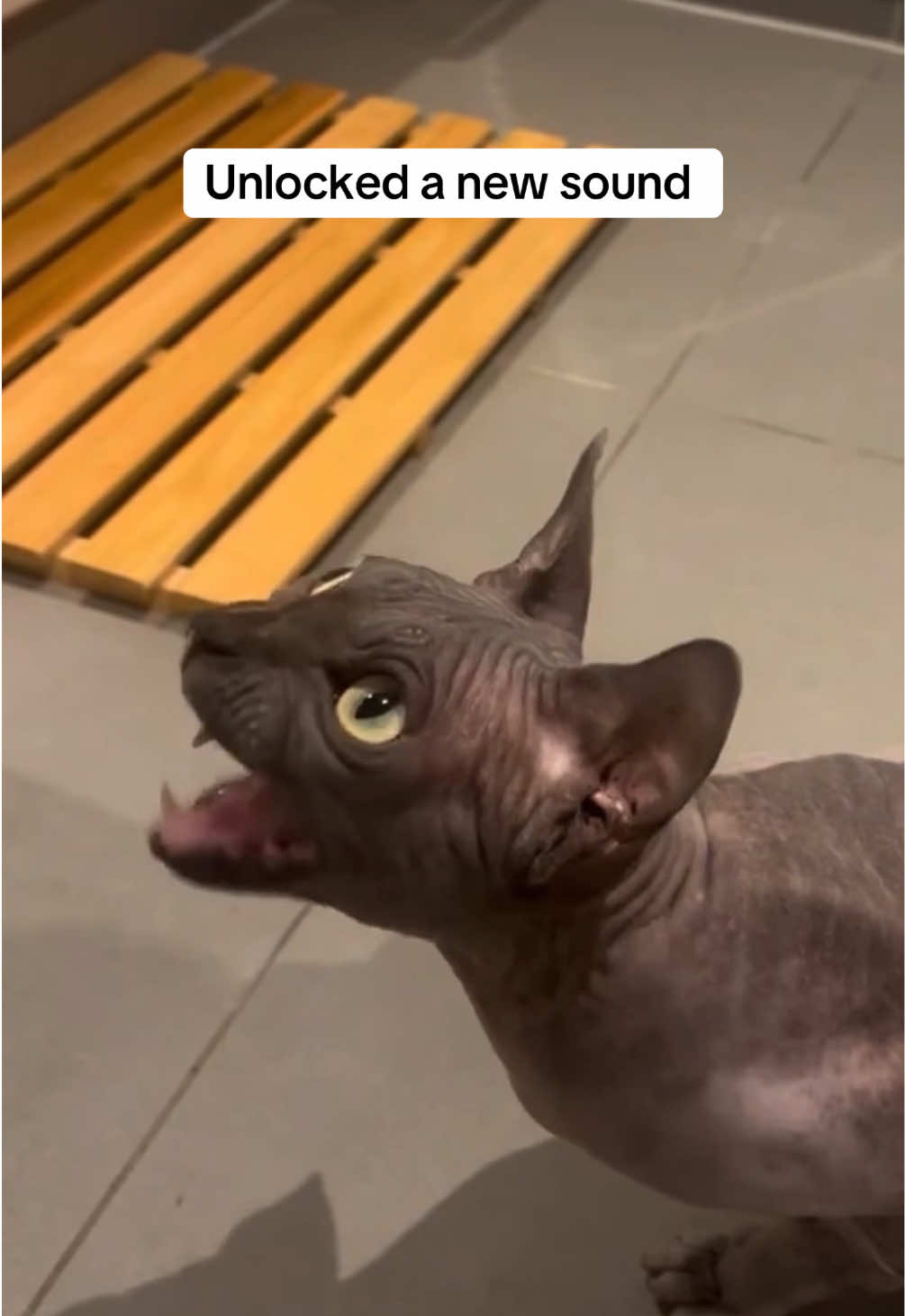 @ekekekkekkek