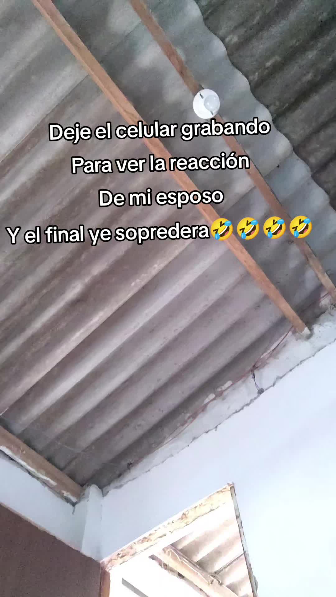 @pamela Rodriguez 💪🦁
