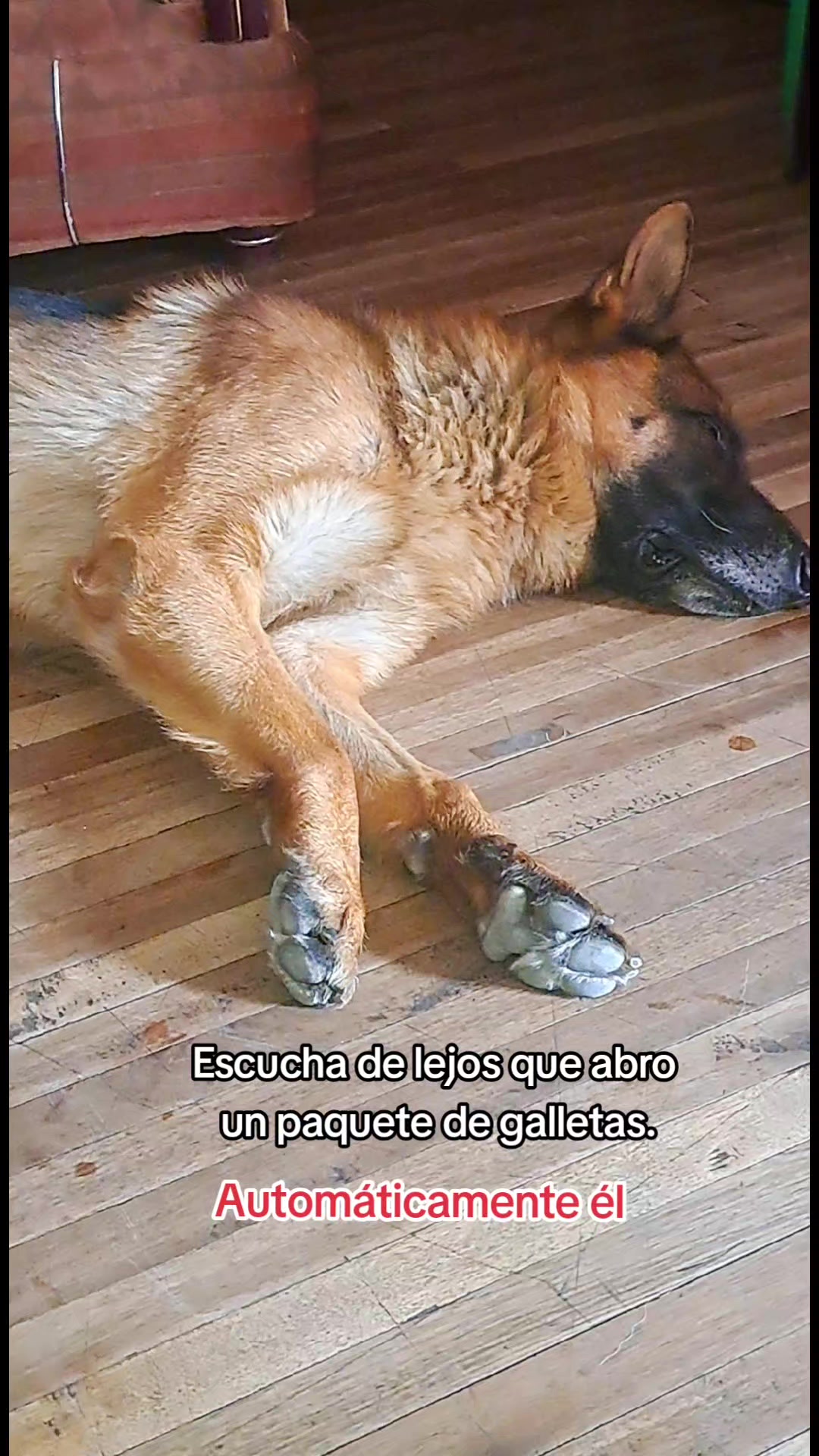 @prisci28