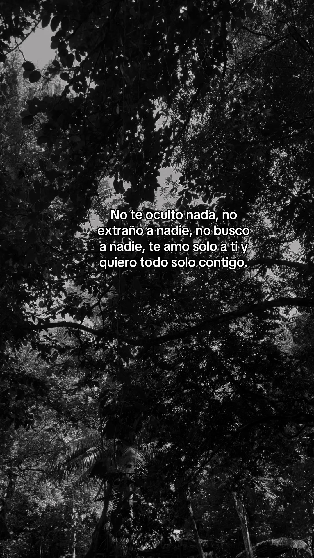 @🥀vane🪫