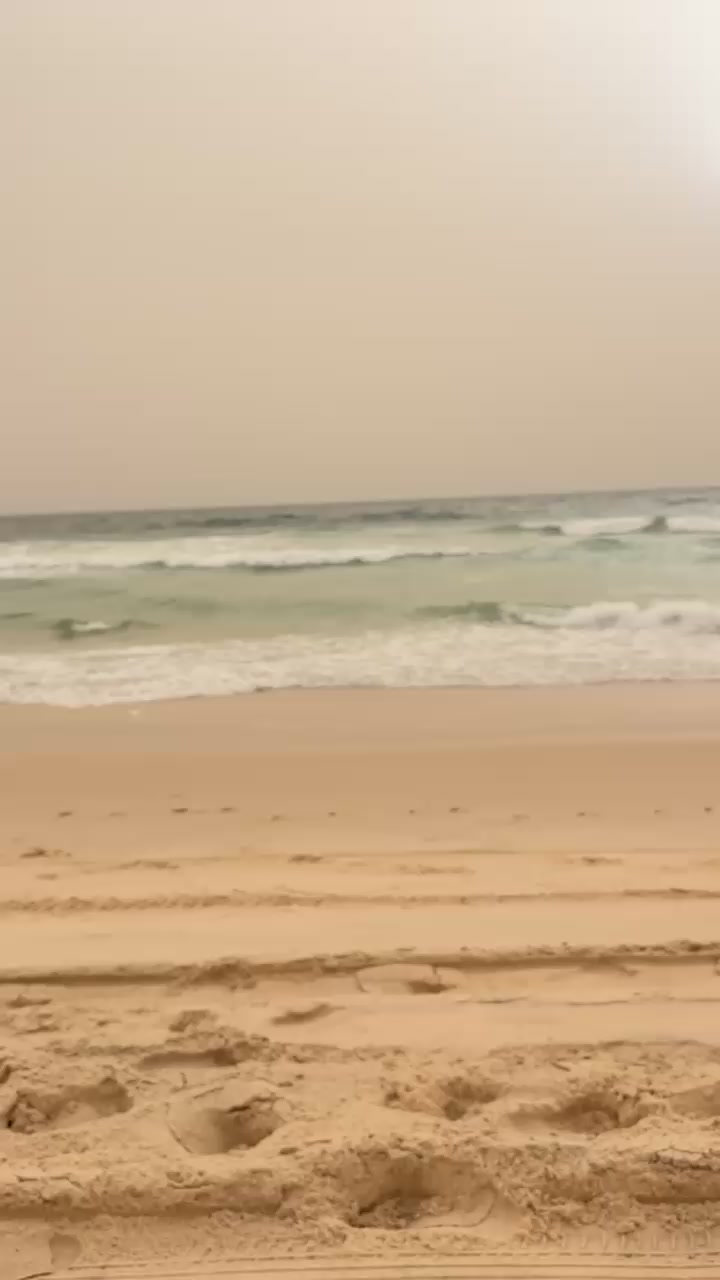 @moctarsdmed