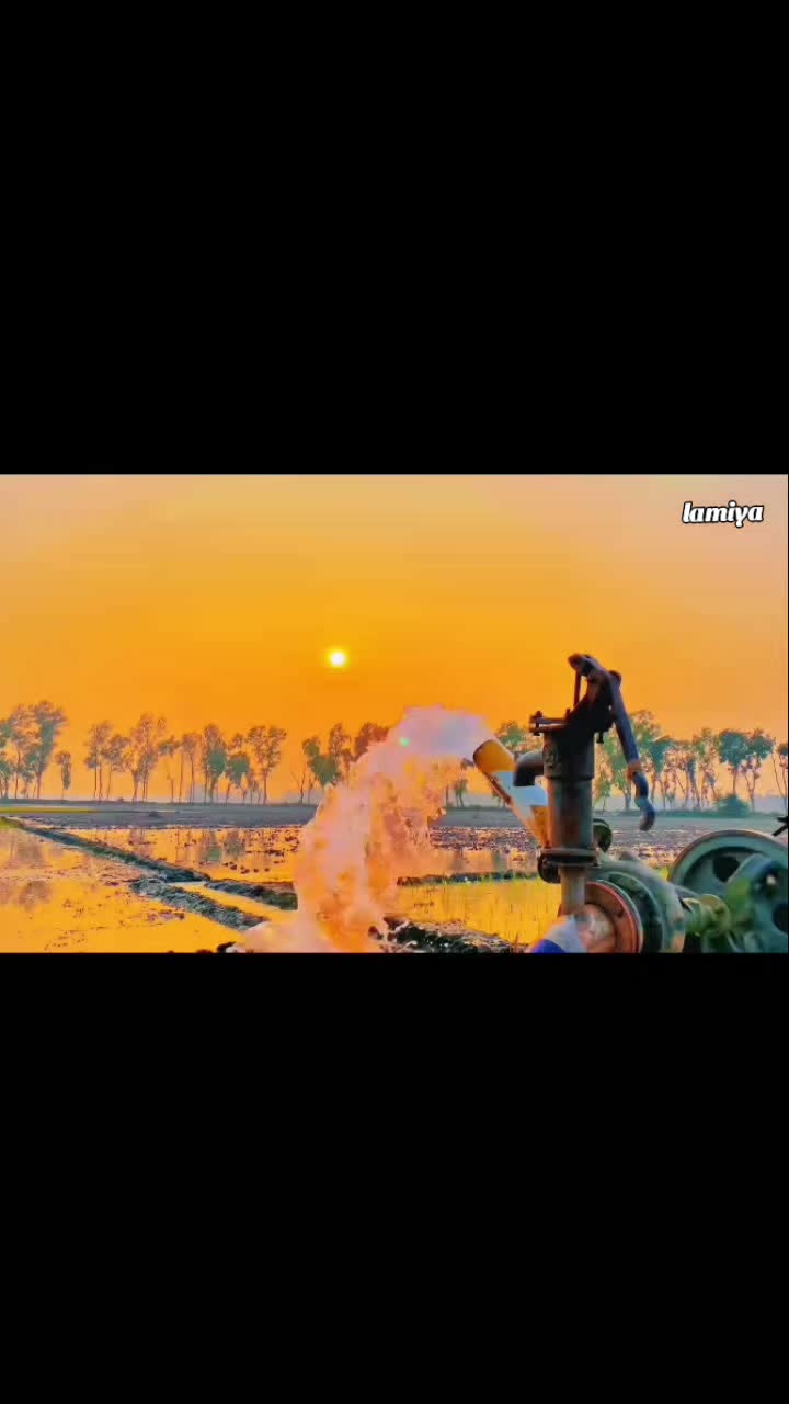 @ۦۗڶمۭياۧء