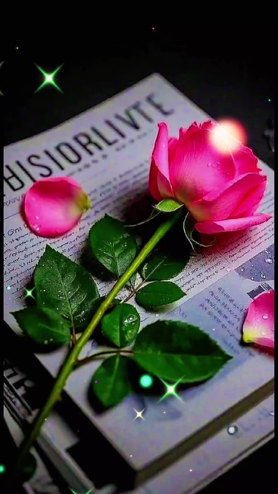 @sisitarabanales1582