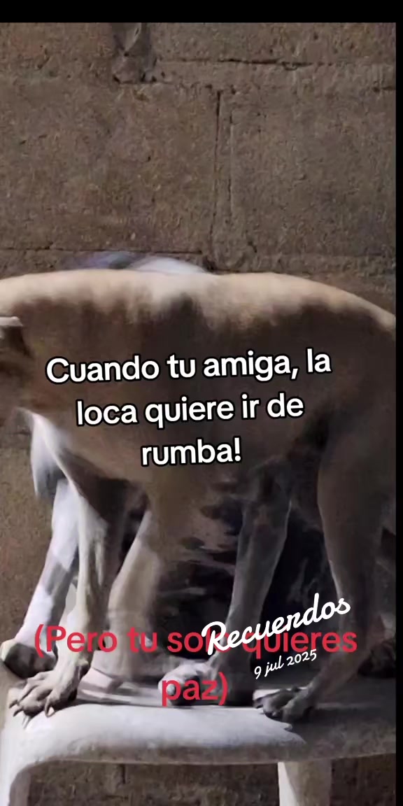 @MANCHAS 0714 OFICIAL