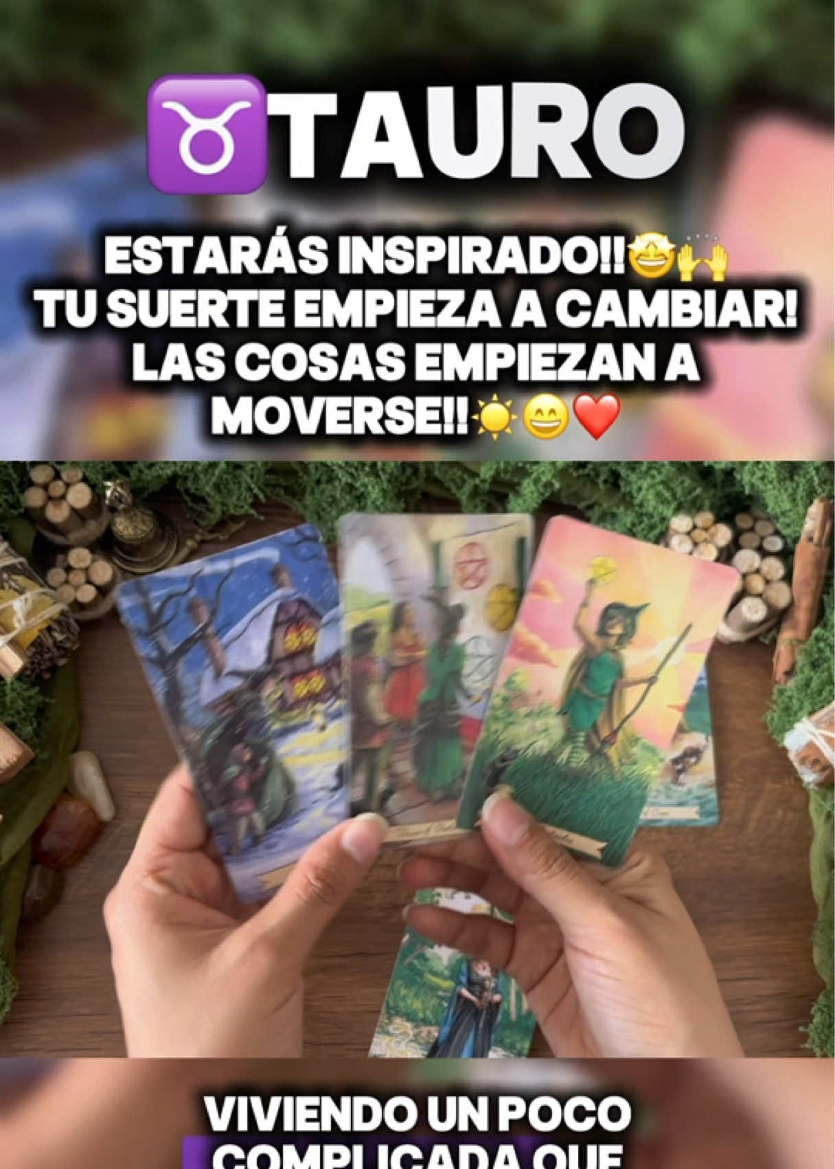 @Andy Sun Tarot ☀️