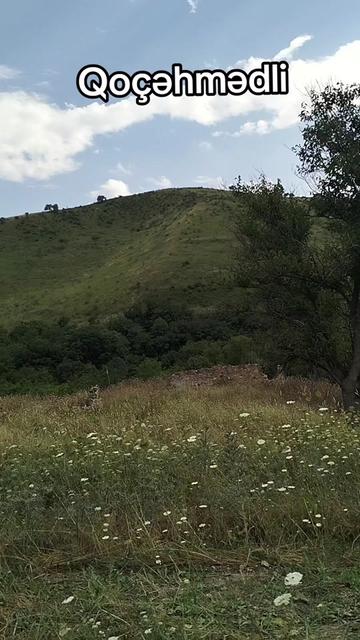 @Yegane.Laçınlı