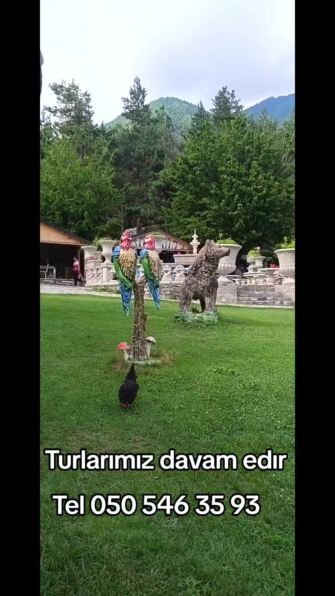 @Qax_Şuşa turu