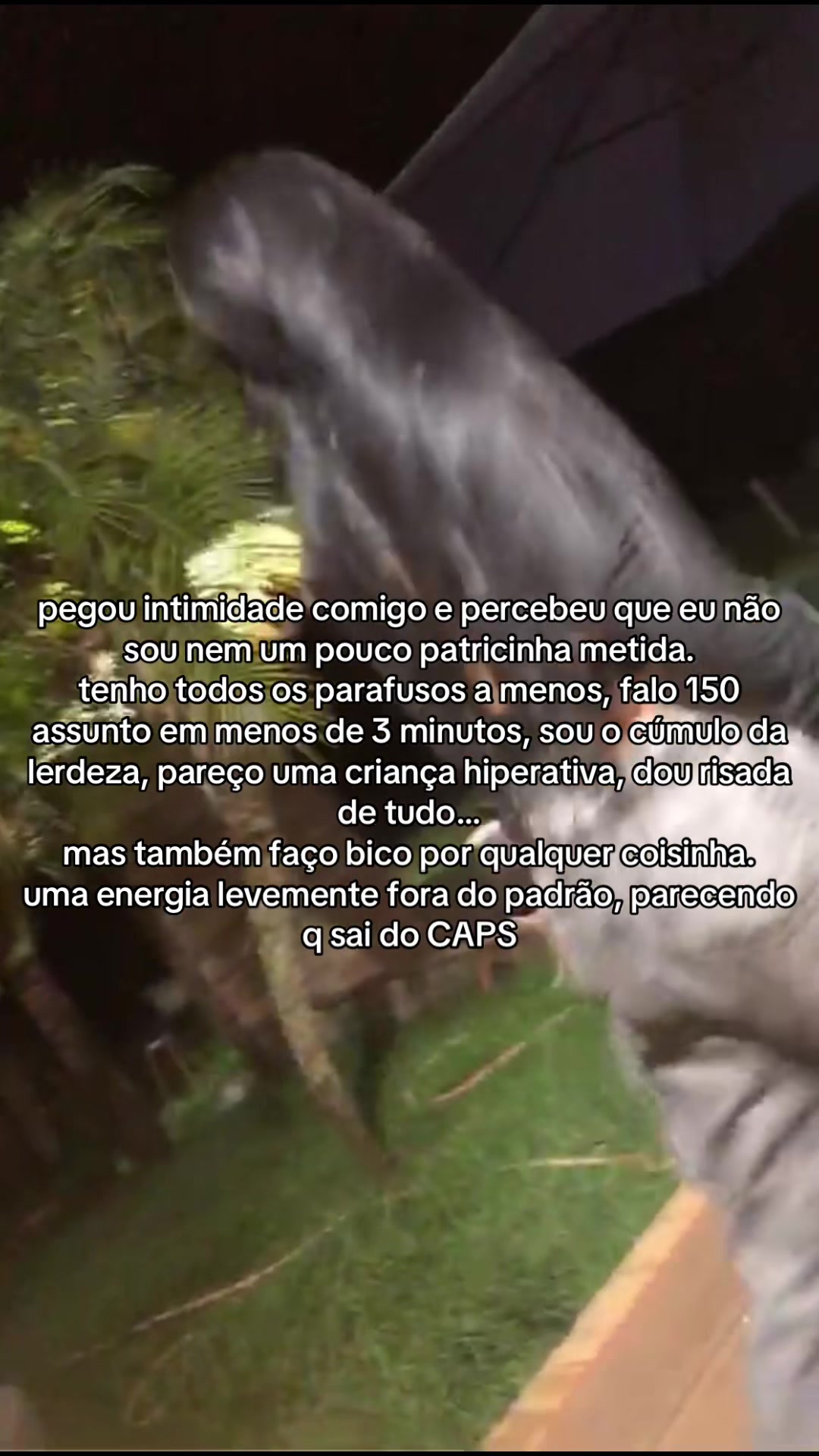 @grazi_pontes1