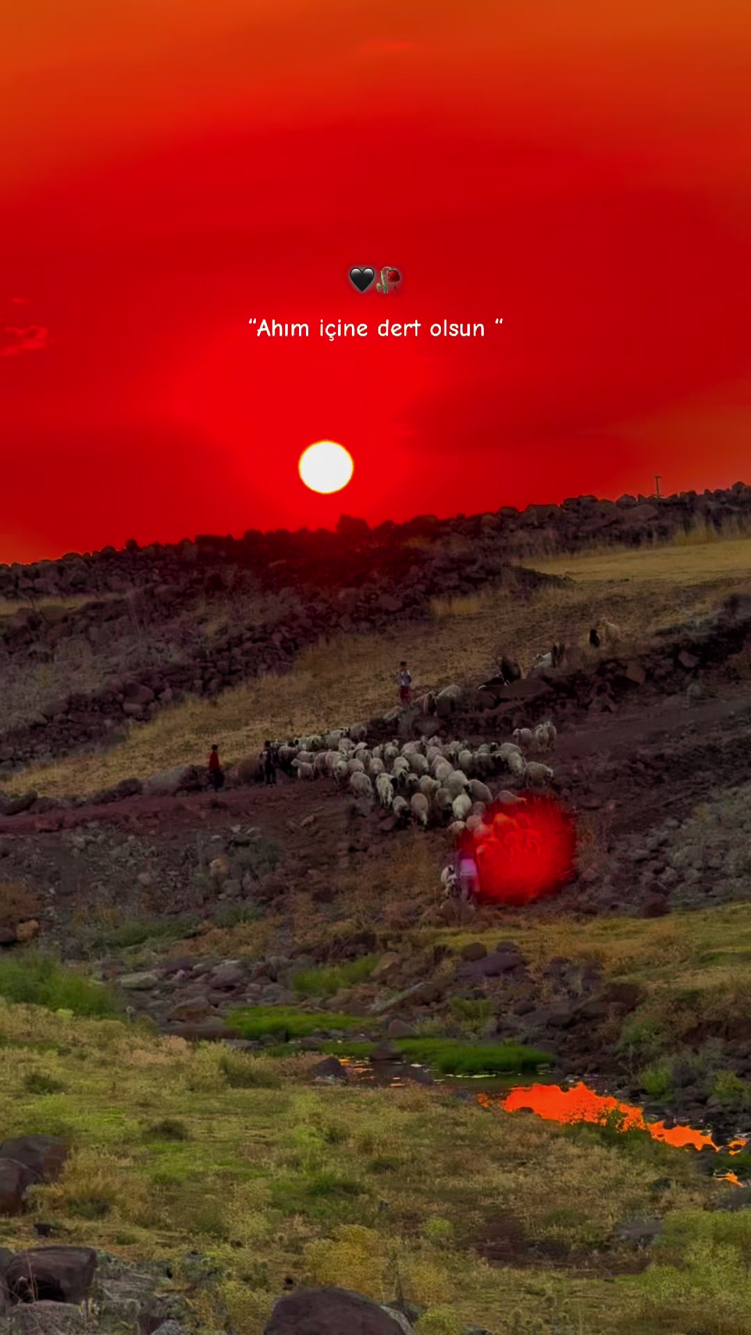 @𝐌𝐢𝐫𝐳𝐚 :)