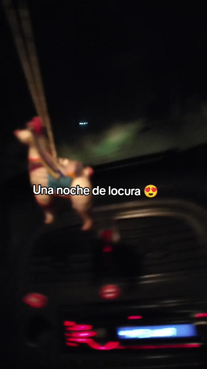 @YasnaValenzuelaCisterna