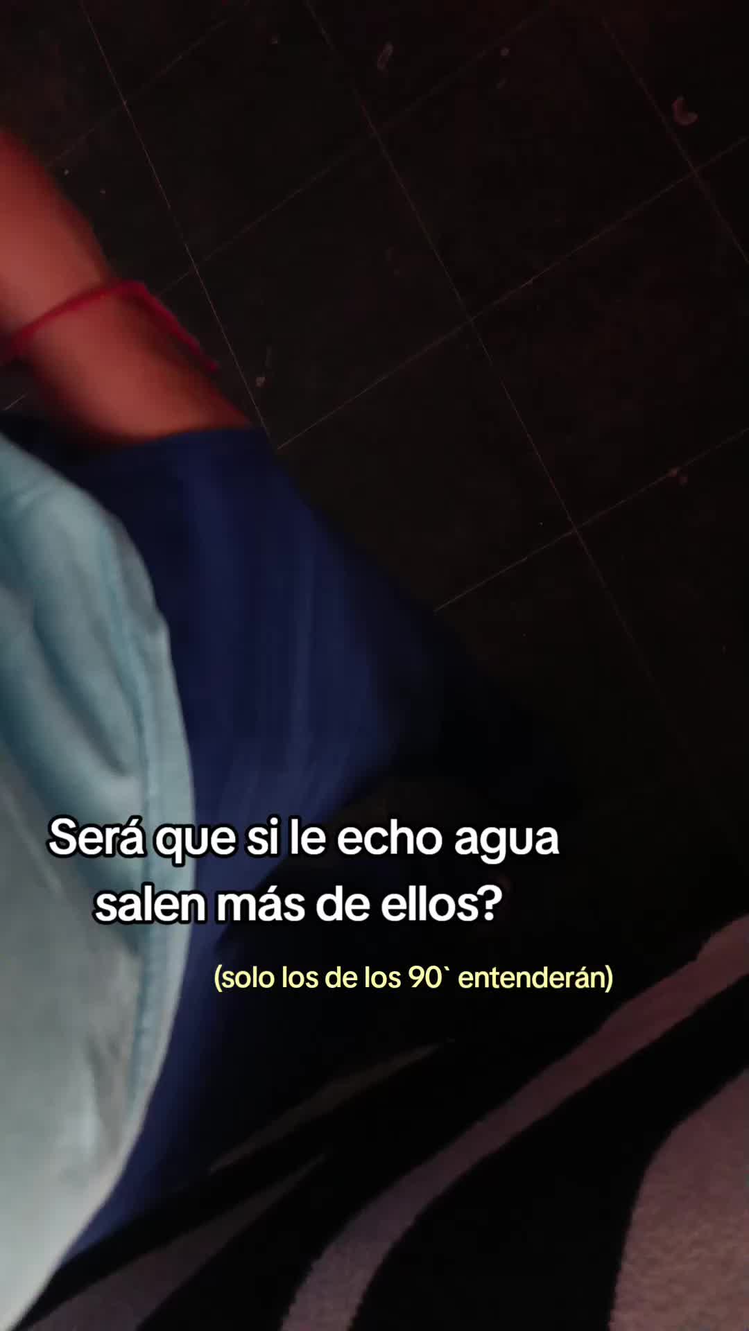 @chicabi.potter