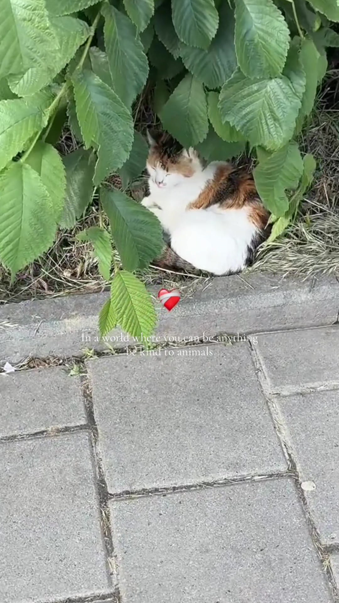 @Ксениця🧸