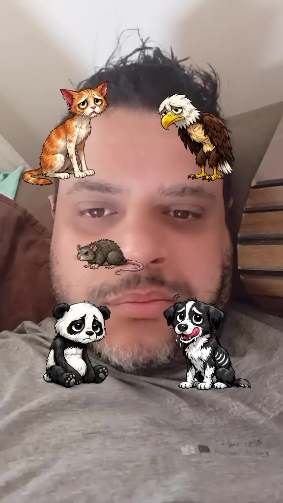 @Rodrigo Direita