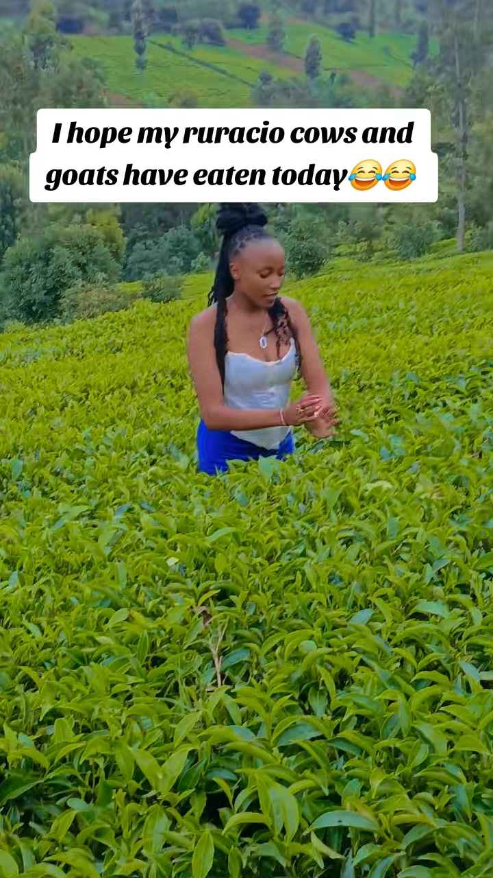 @🎀WAMBUI🌸