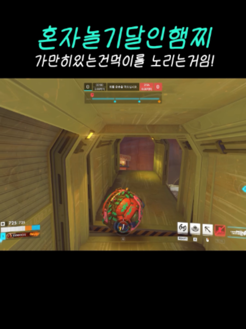@김민트