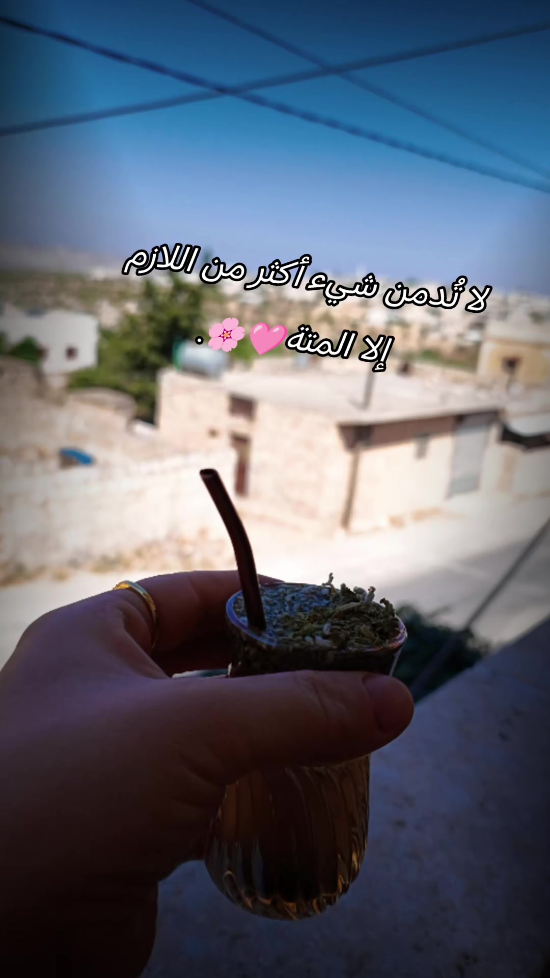 @Ayla🧚