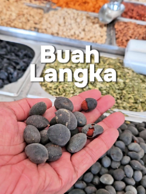 @Boy Taufik | Jejak Umroh