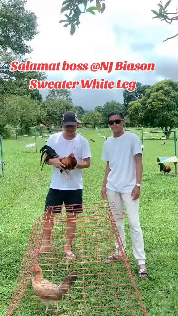 @King Atoy Gamefowl