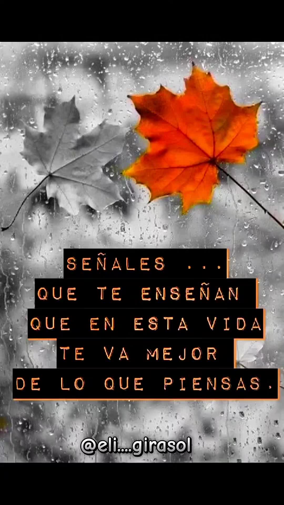@Eligirasol