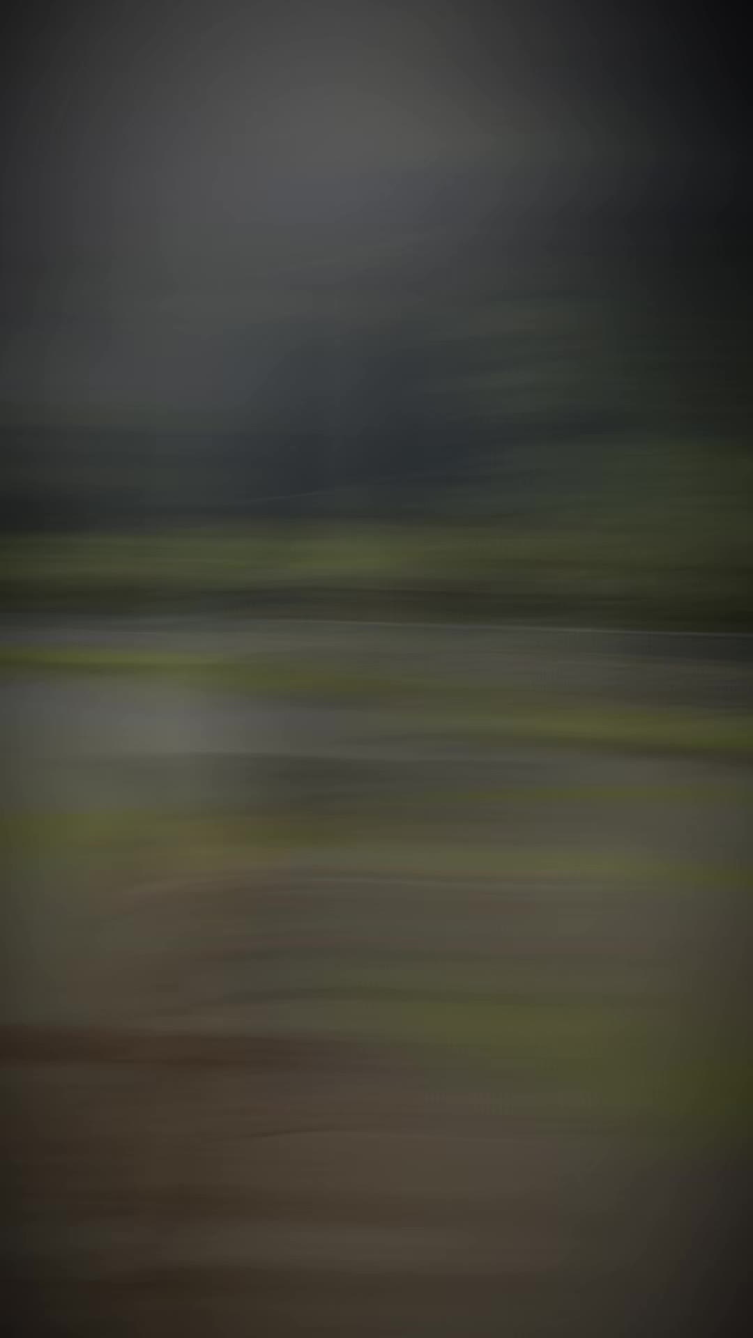 @TENSS🐿️