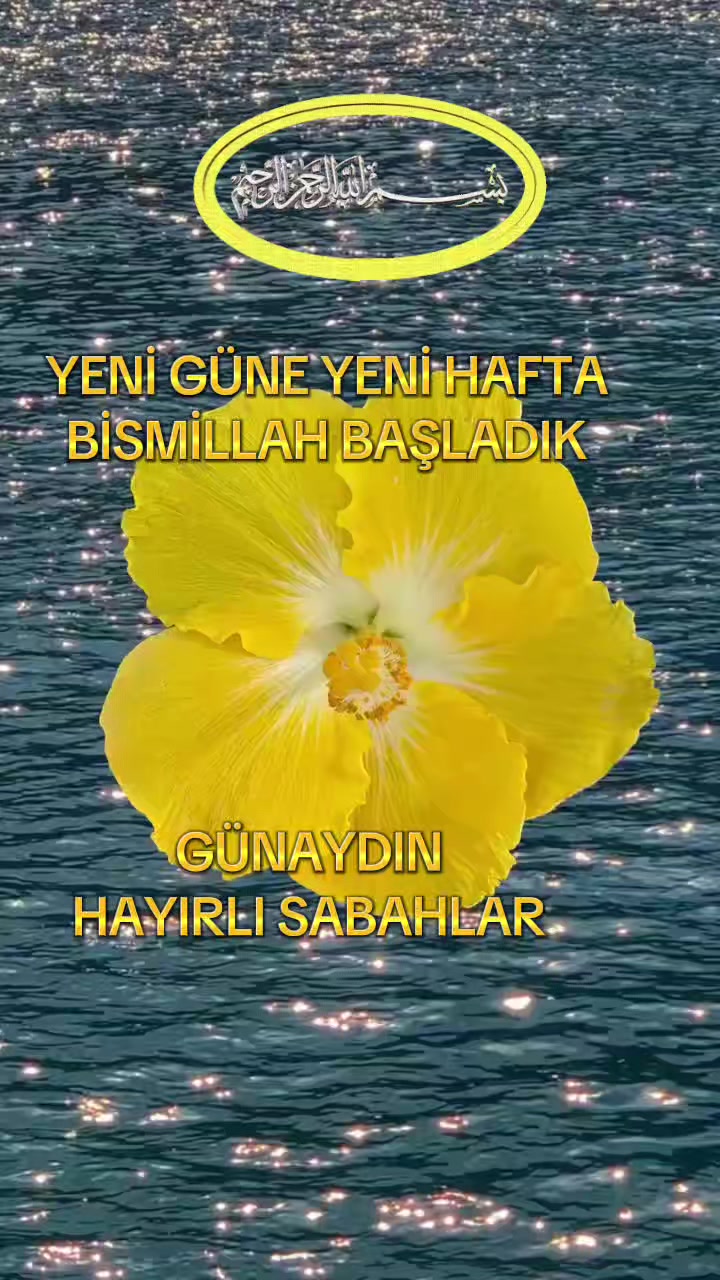 @aynur Kocakaya 280.🤲
