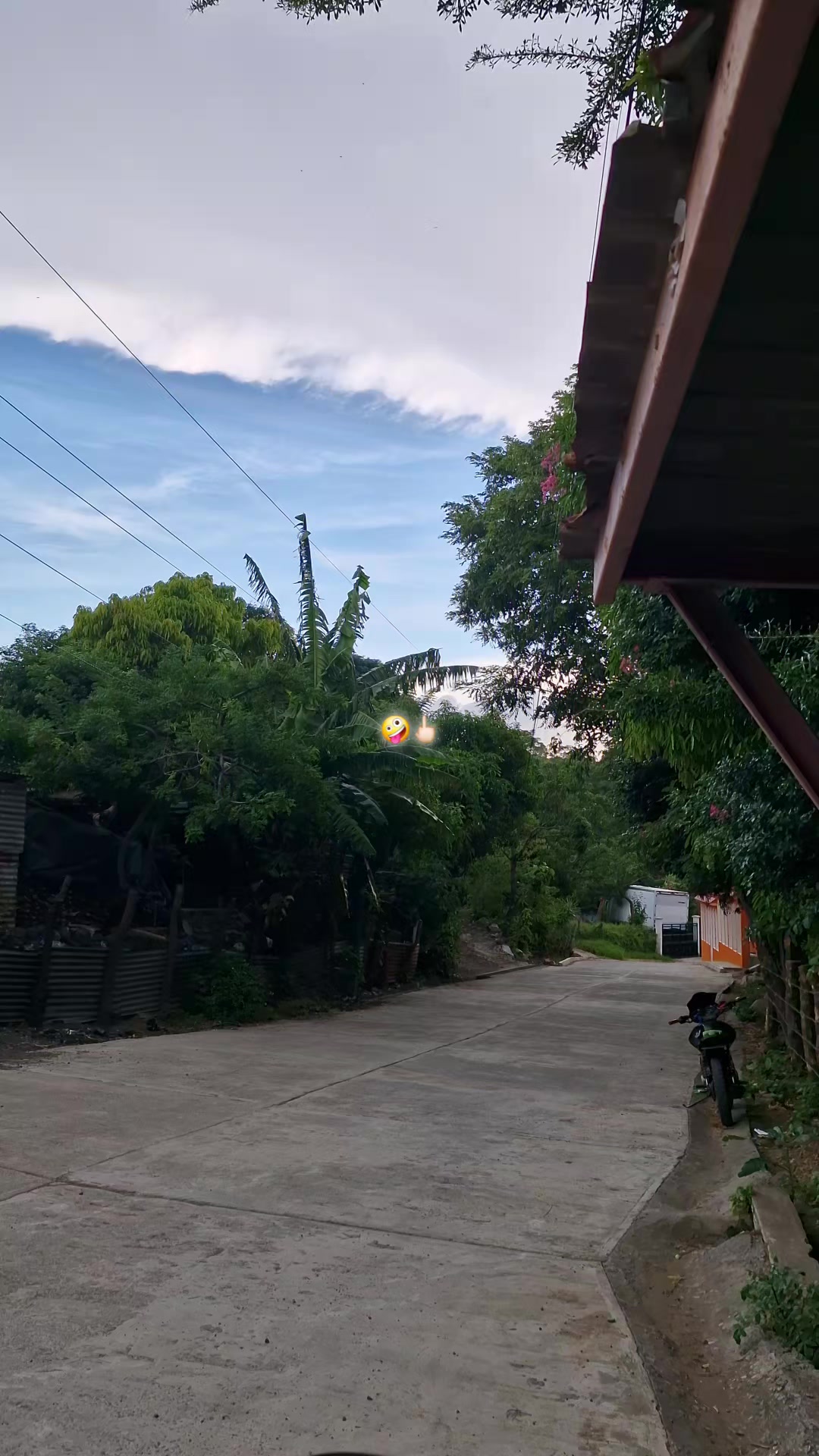 @Alexander๐น