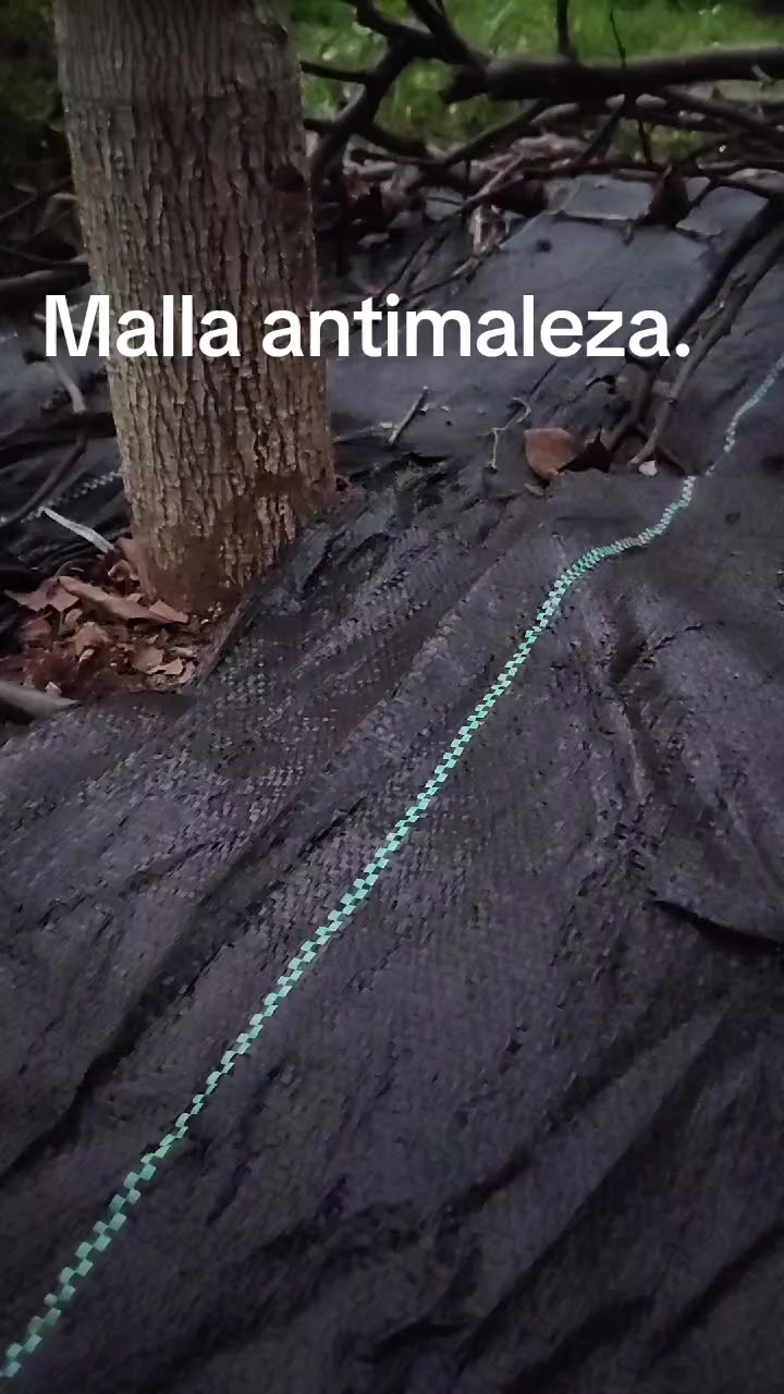@patriciareyes2741