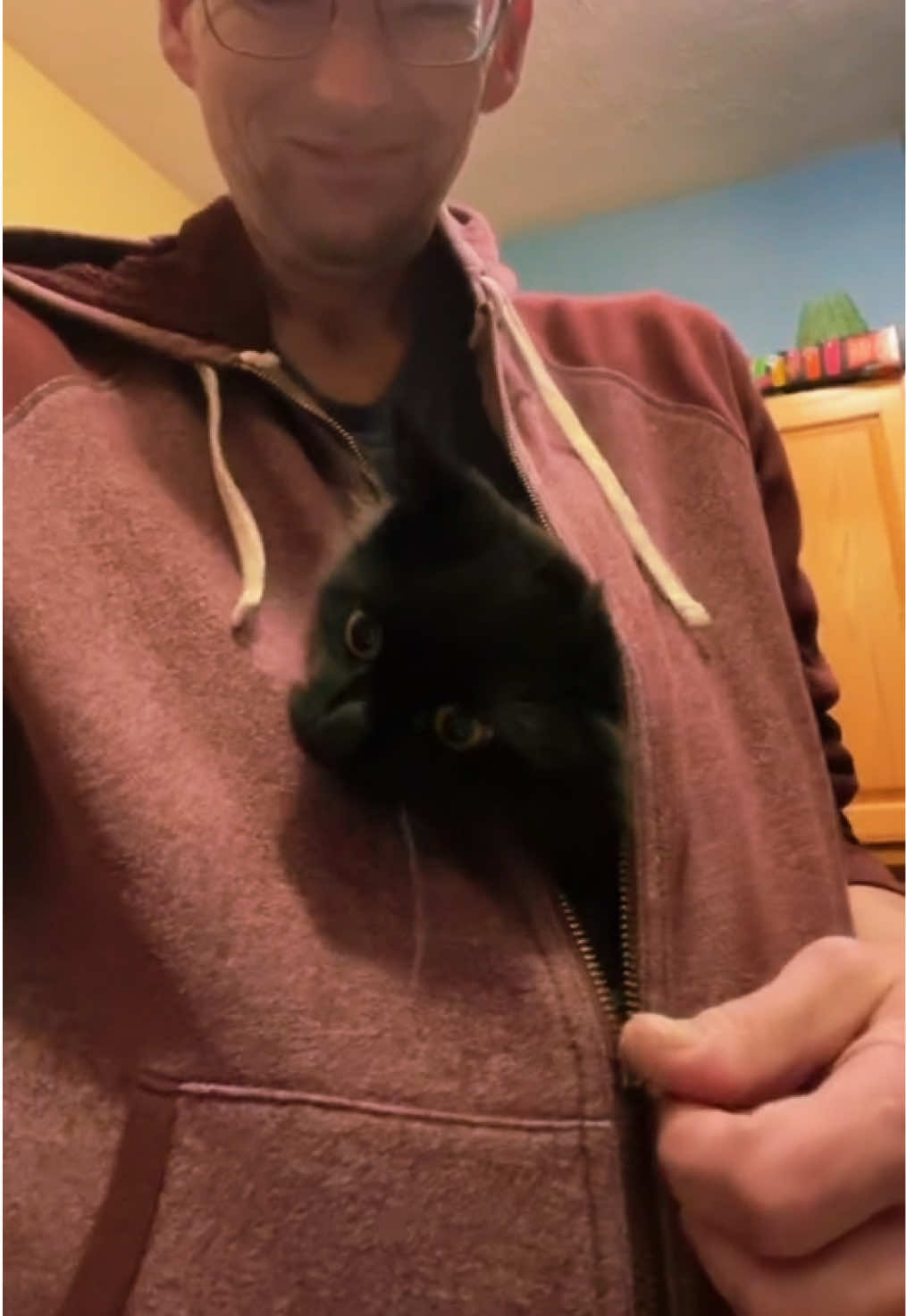@Brad the CatDad 🐾