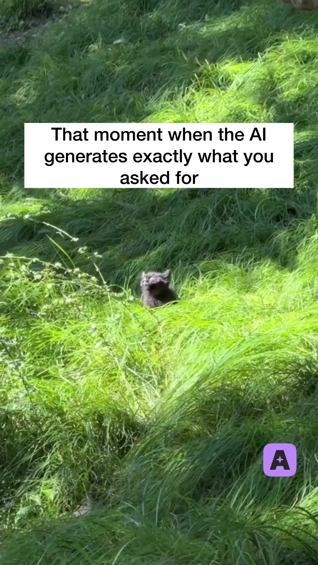 @Aithor