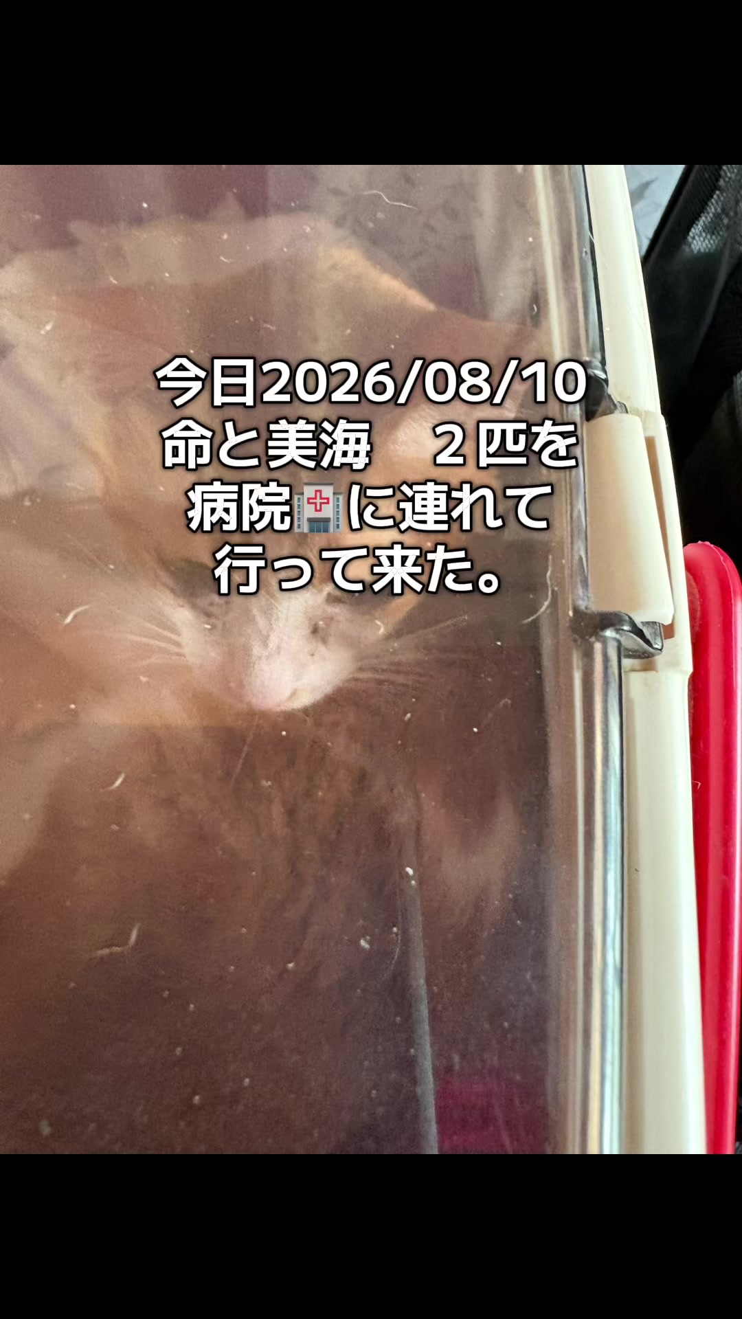 @ブルースカイの倫