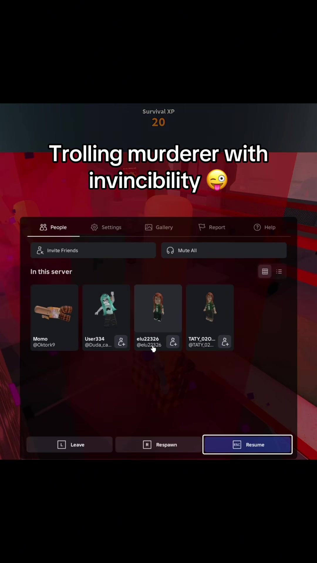 @Momo