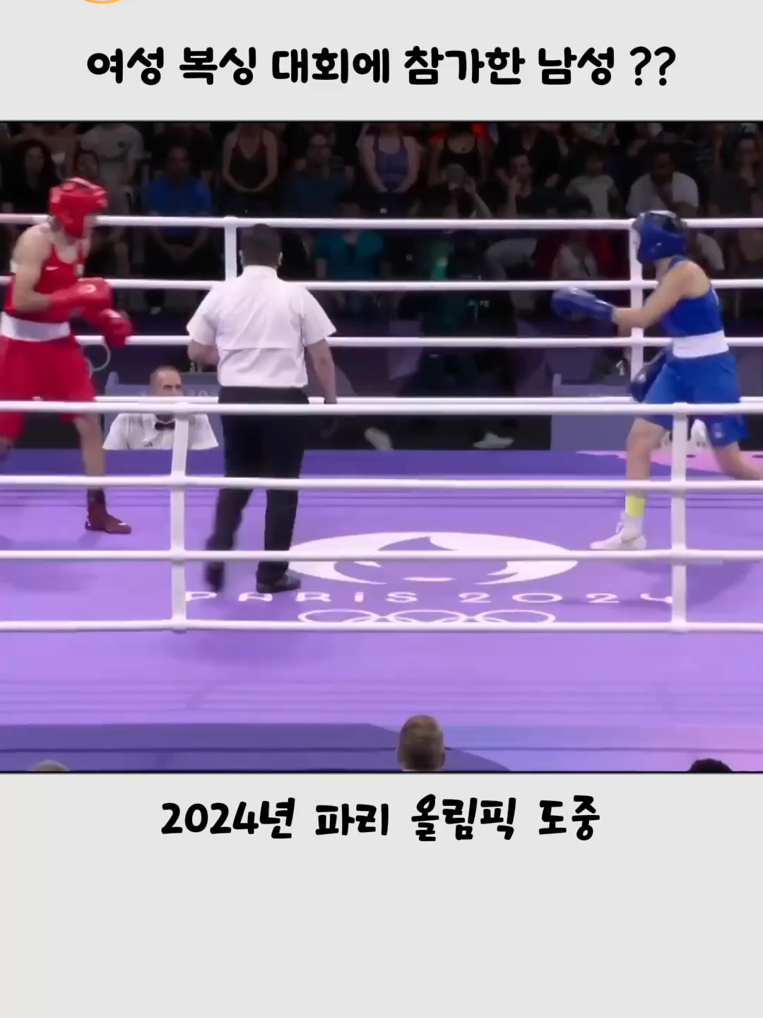 @호랑구팔