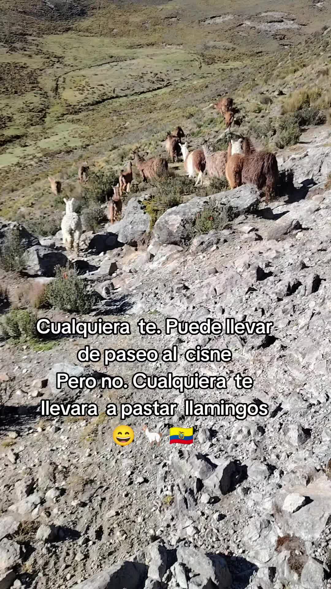 @🗻🤠Sayri .🏡,Thupag👷🚜