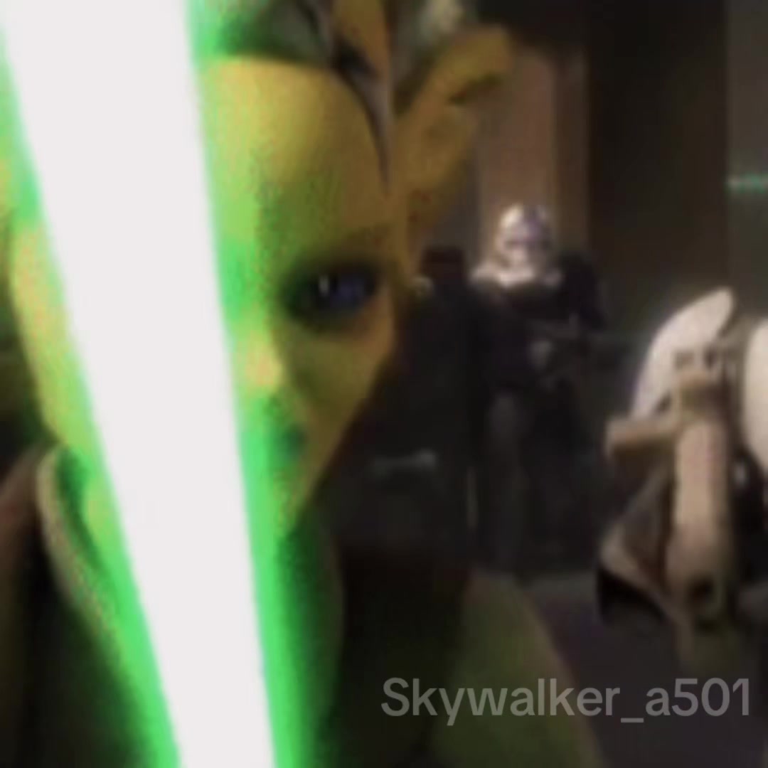 @skywalker_a501