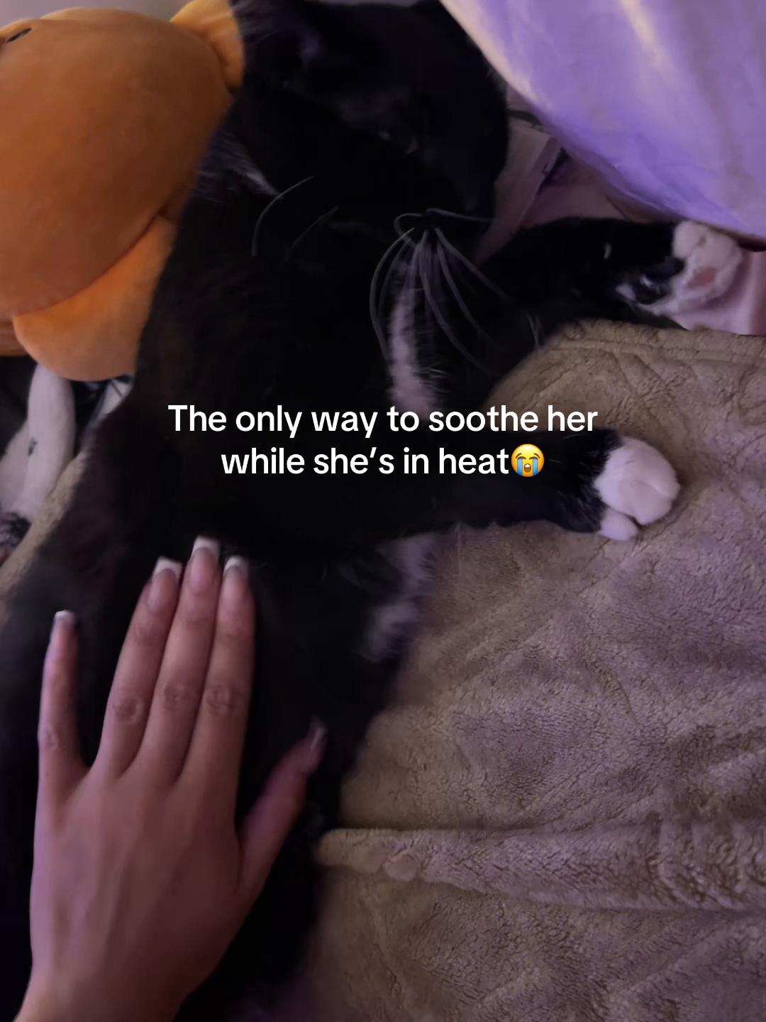 @Aaliyah