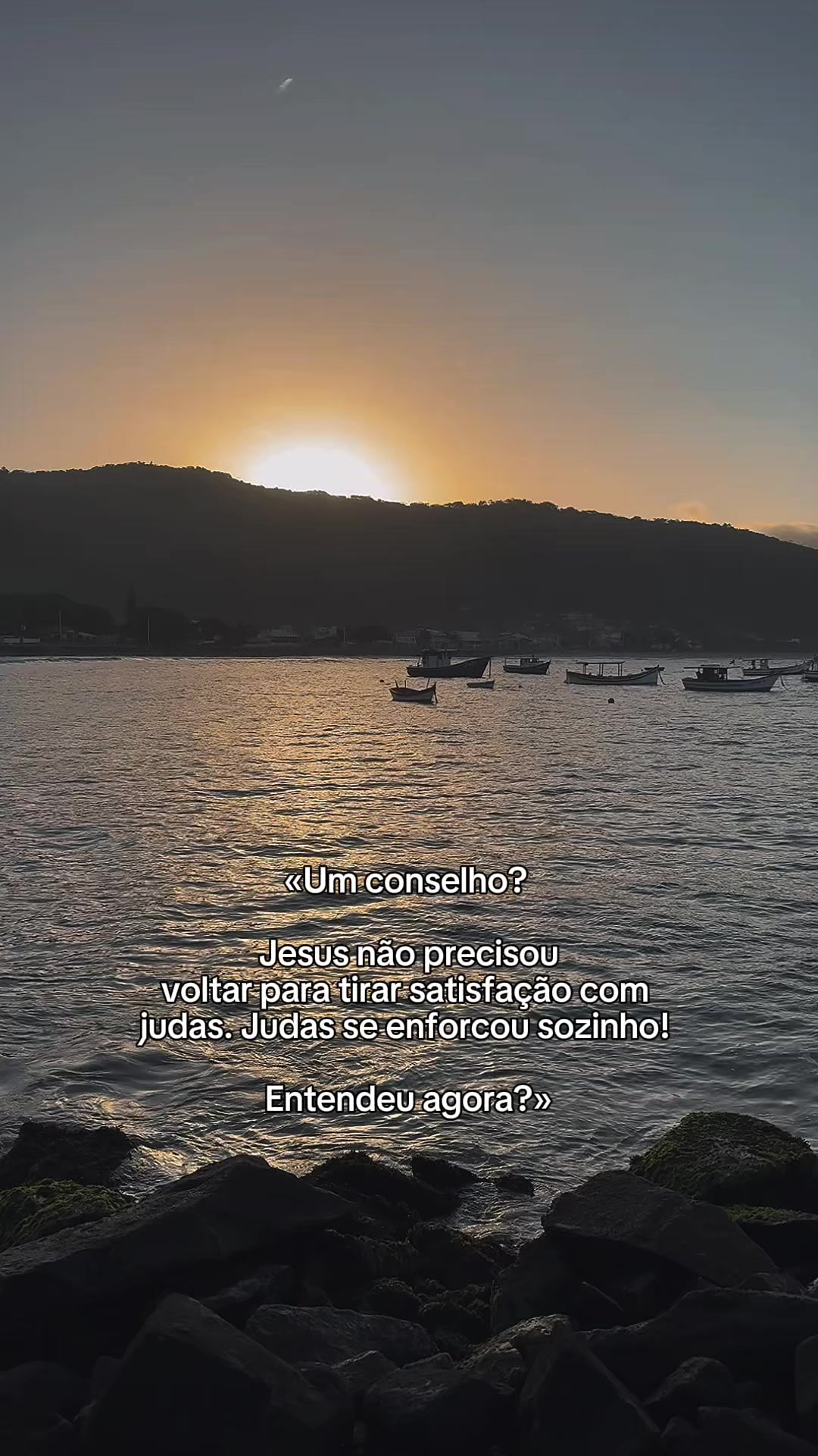 @Andressa Dias