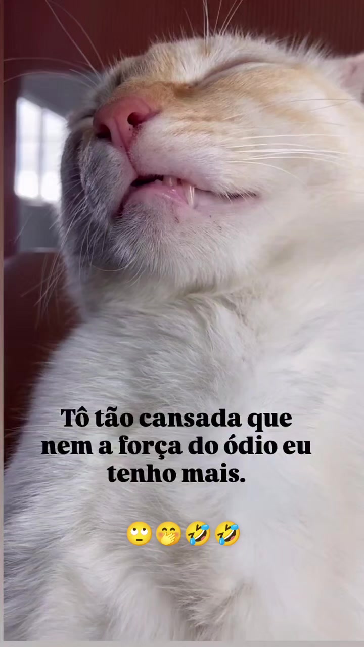 @Conte&uacute;do de valor🌹