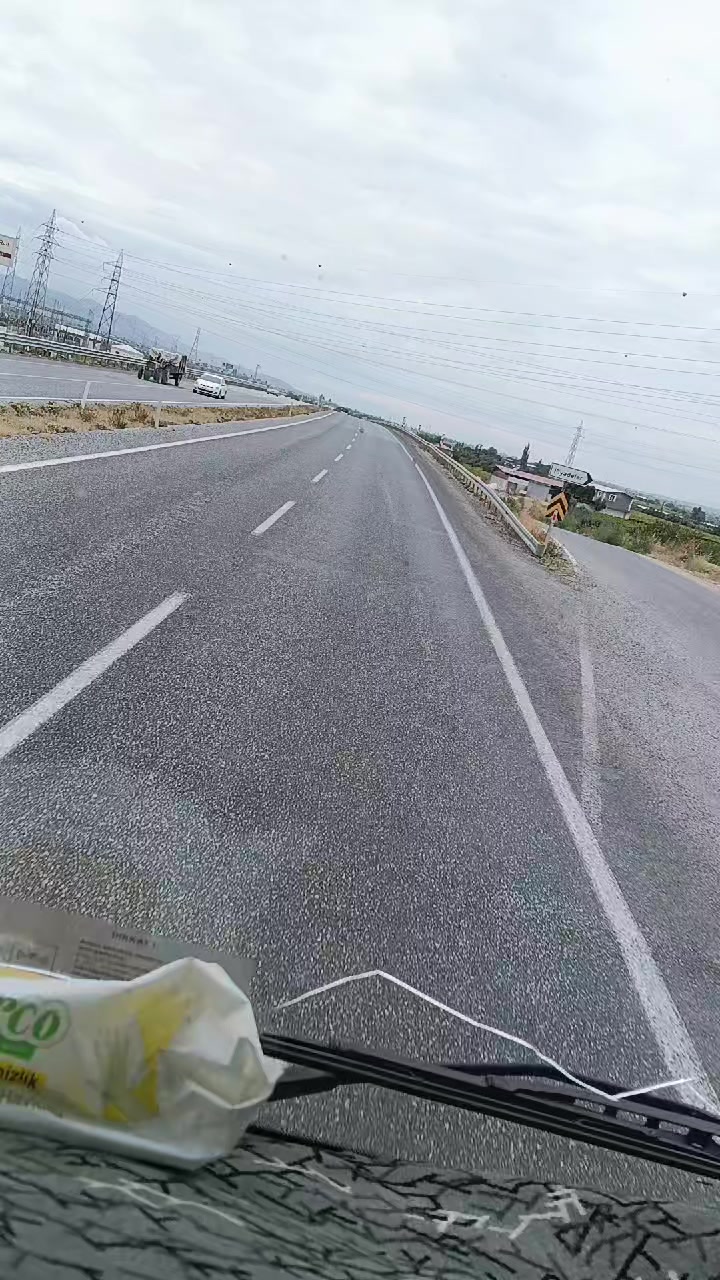 @&Ccedil;ılgın Borlalı
