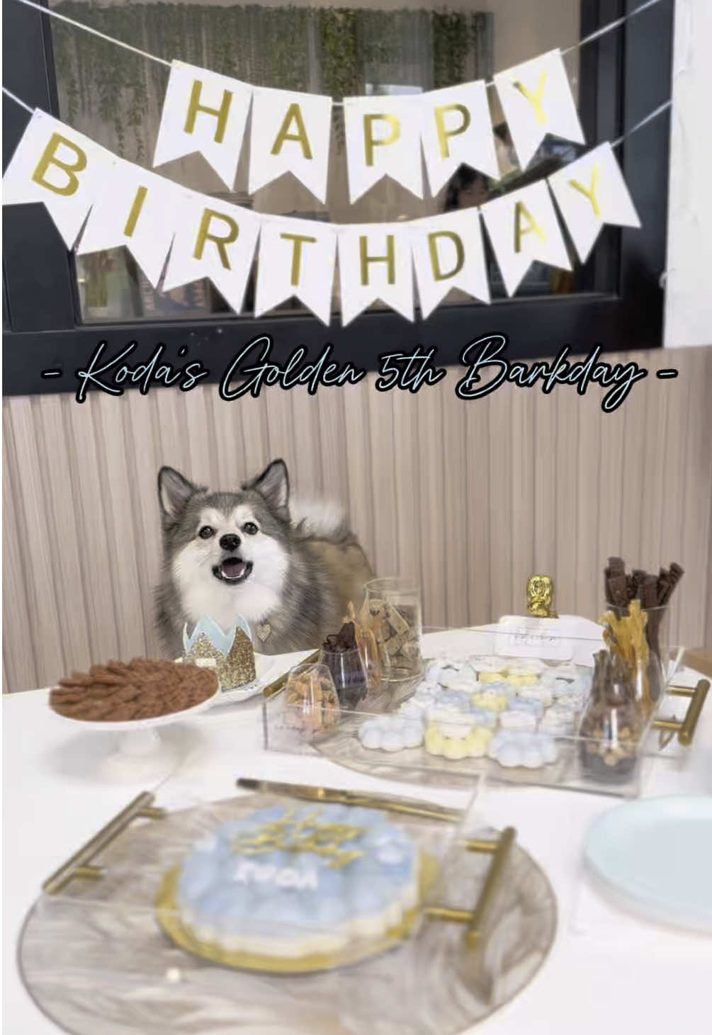 @Koda Bear & Ness