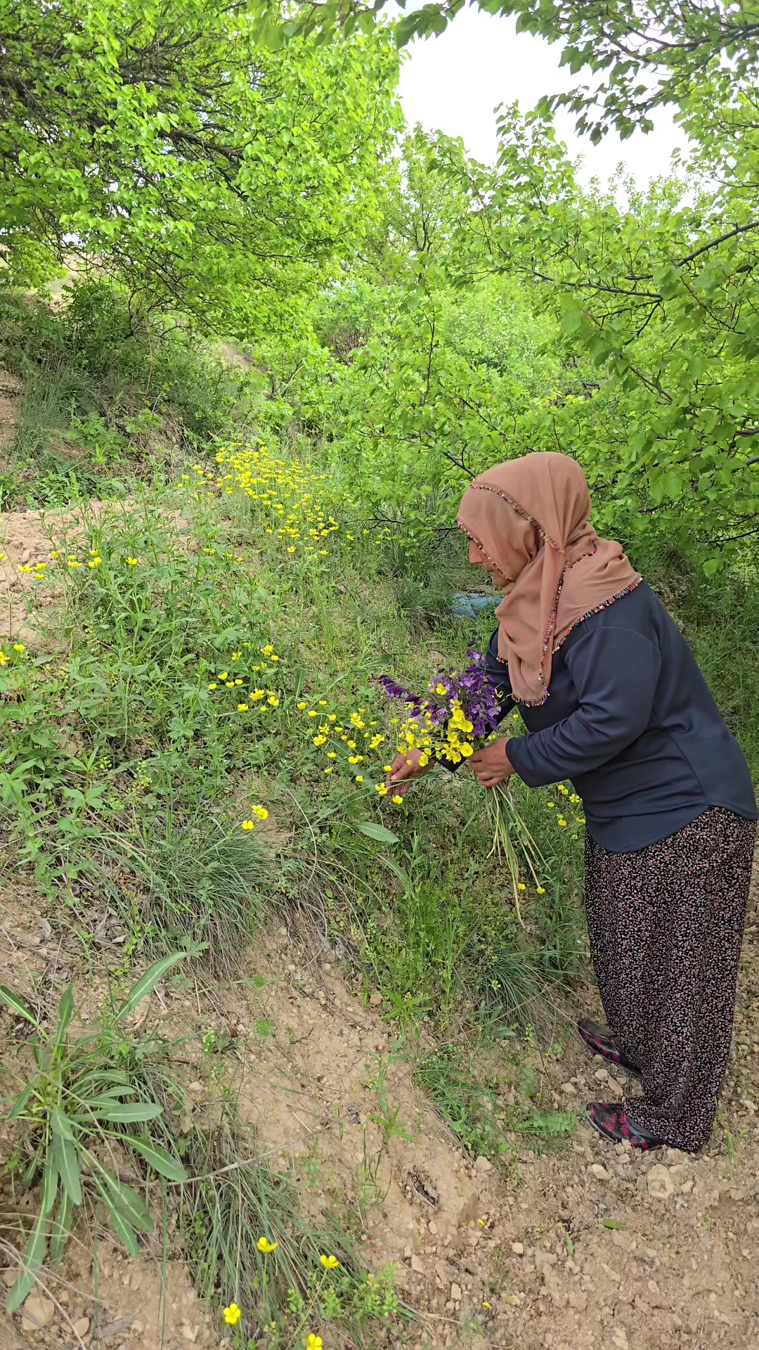 @k&ouml;yl&uuml; kızı,,
