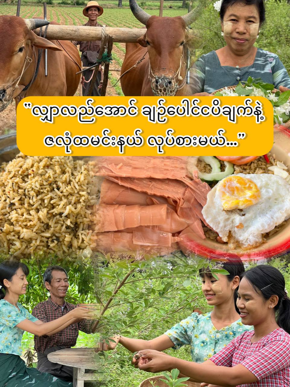 @Yar Taw Thu - ယာတောသူ