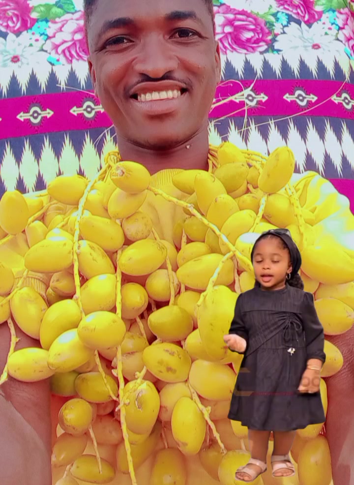 @حامدشعيب ودشمار 🇸🇩🇳🇬⚔️