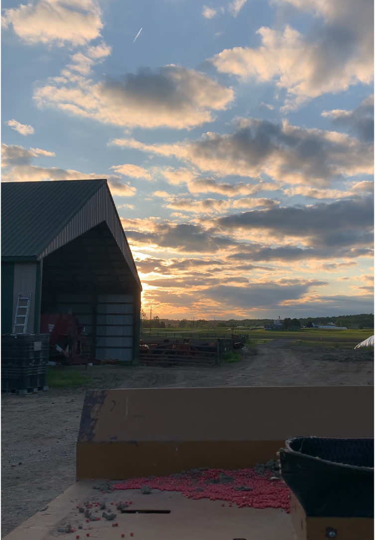 @DDP Farms